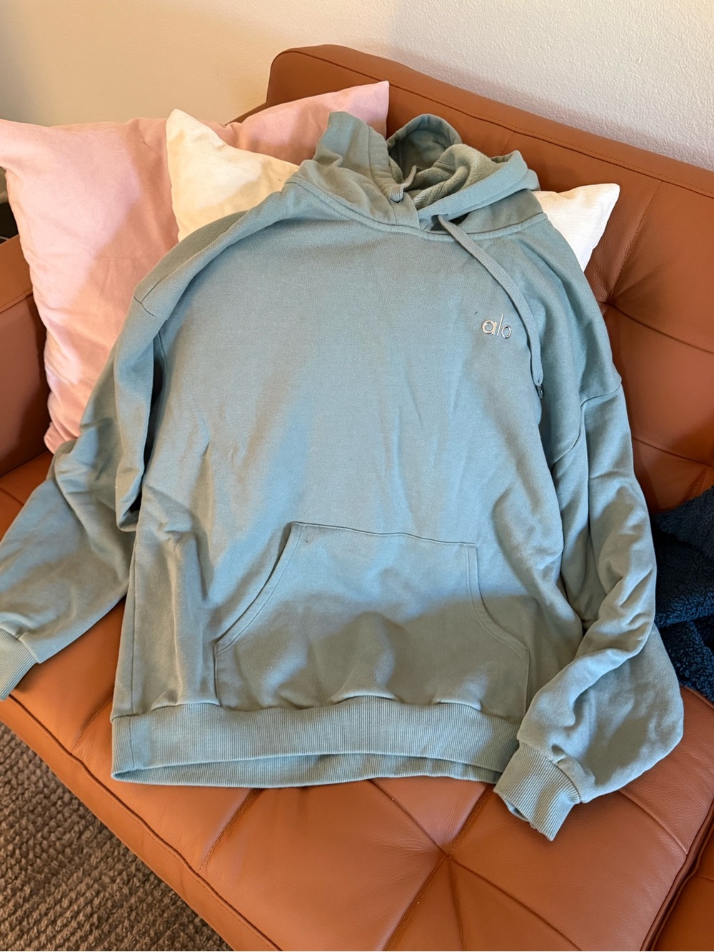 Light Sage Green Pullover Hoodie - Casual Sweatshirt